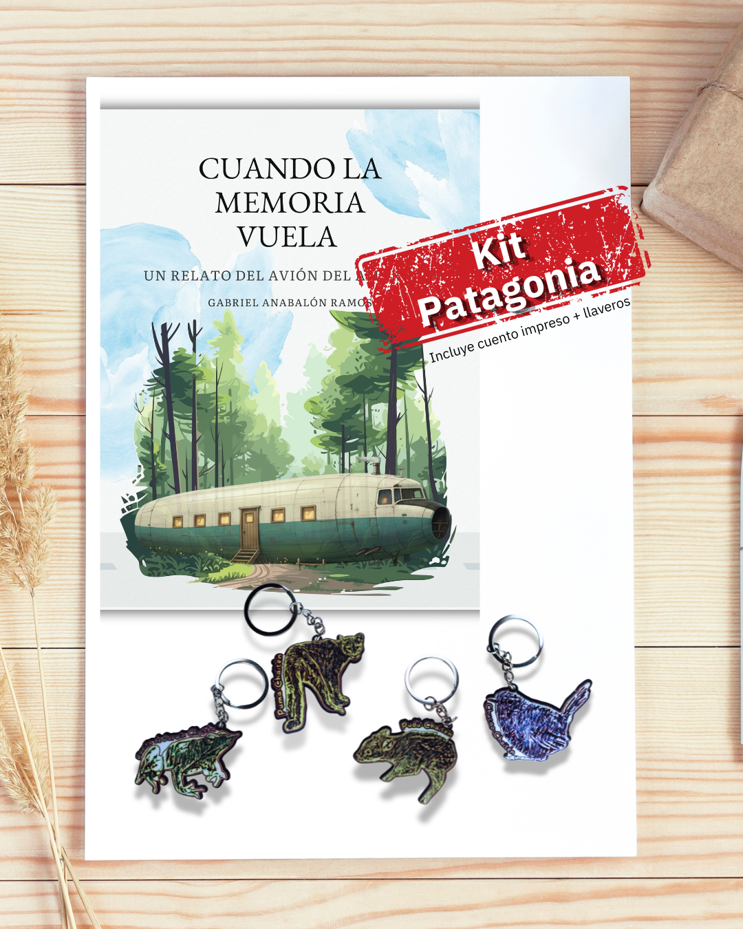 Kit Patagonia