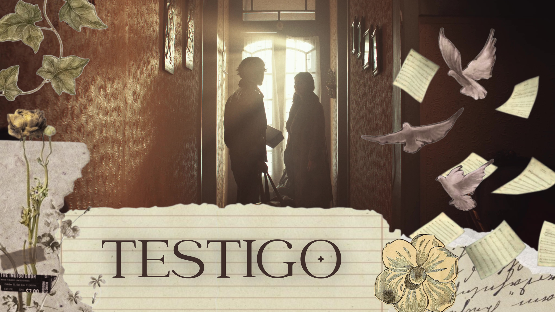 🔎TESTIGO