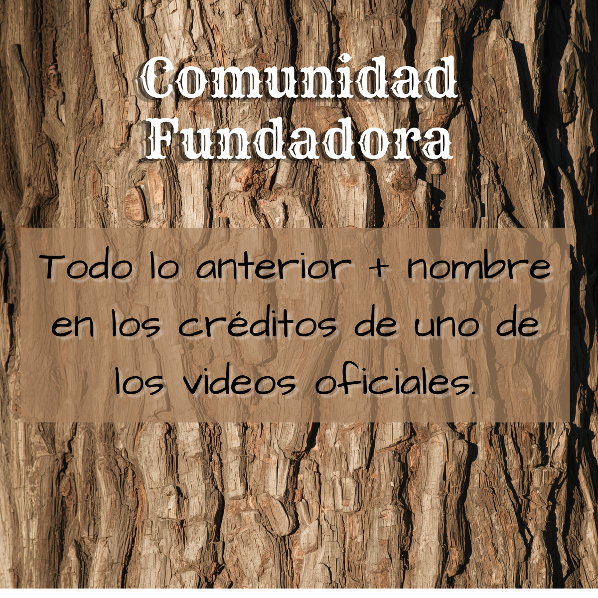 Comunidad Fundadora
