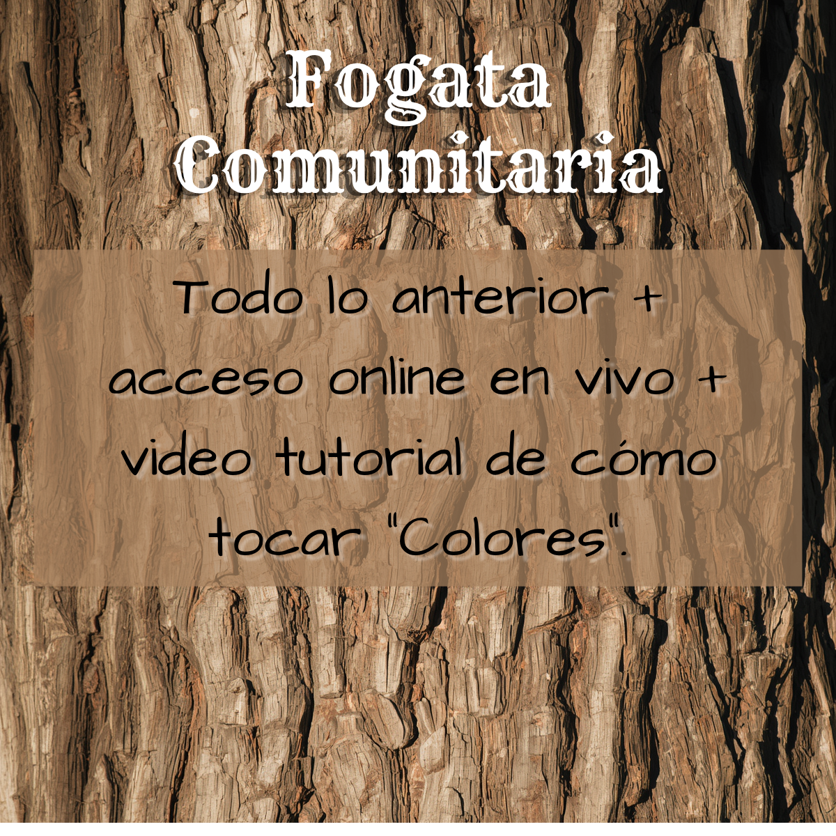 Fogata Comunitaria